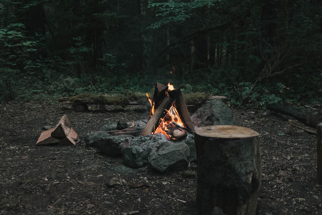 Main-Banner-01