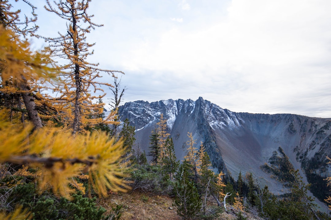 Embracing Nature: Budget-Friendly Outdoor Adventures